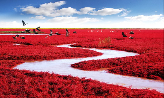 13. Red Beach (China)