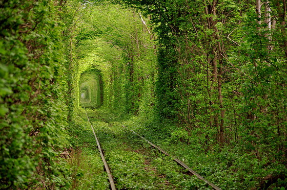 17. Tunnel of Love (Ukraine)