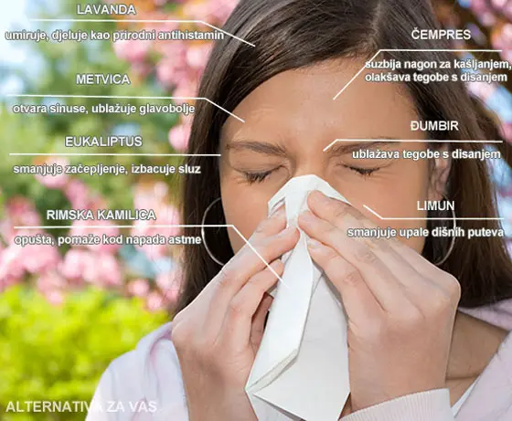 alergija-infografika