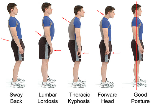 correct-posture