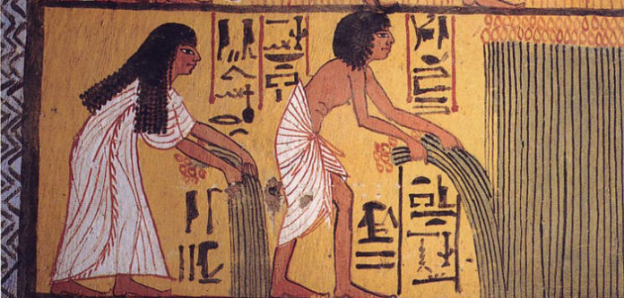 Egyptian_harvest