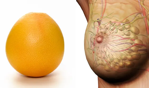 06-Grapefruit-BreastsFoods-That-Look-Like-Body-Parts-1