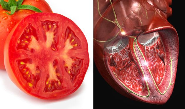 07-Tomato-HeartFoods-That-Look-Like-Body-Parts-1