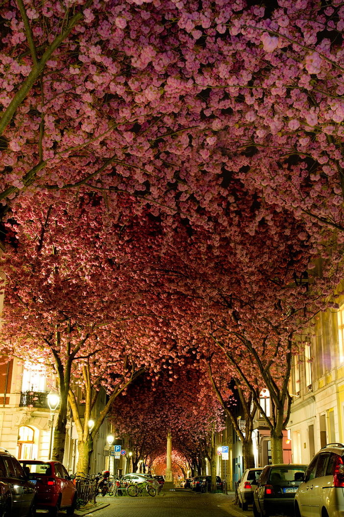 unbelievable-places-6