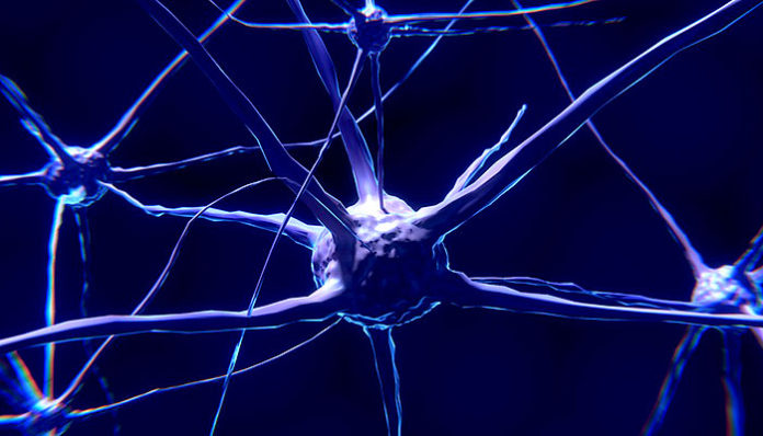 nerve-cell-2213009_960_720