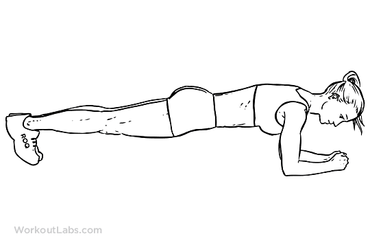 Plank F WorkoutLabs