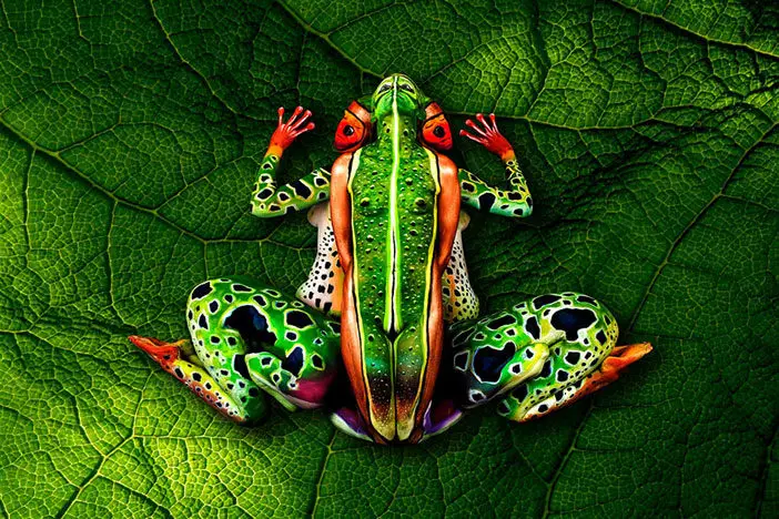 frog-body-painting-optical-illusion-johannes-stotter