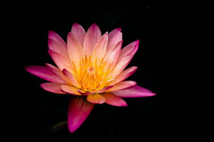 ryan-baker-212119-unsplash
