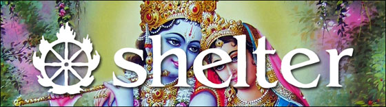 shelter-radha-krishna