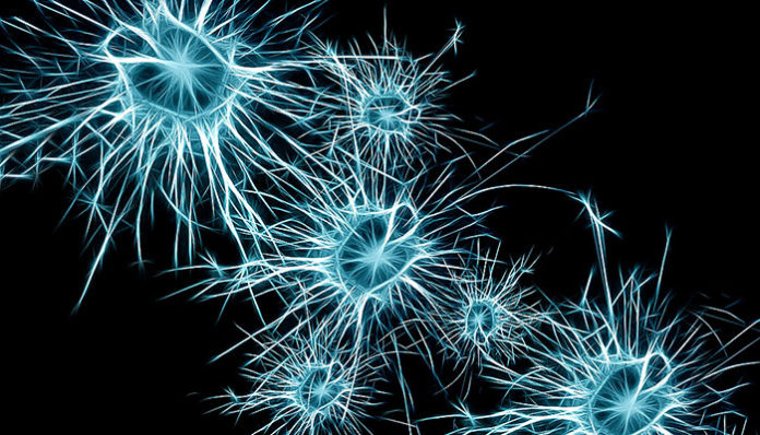 neurons-1773922_960_720