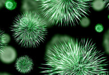 Kako “izgladniti” bolest i iscijeliti se