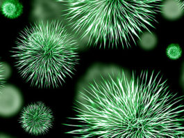 Kako “izgladniti” bolest i iscijeliti se