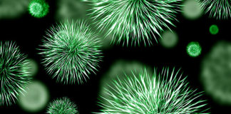 Kako “izgladniti” bolest i iscijeliti se