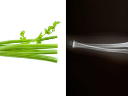 Medicinski medij Anthony William: “OVO je najljekovitiji sok na svijetu!”