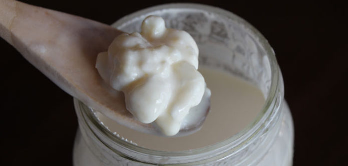 kefir1