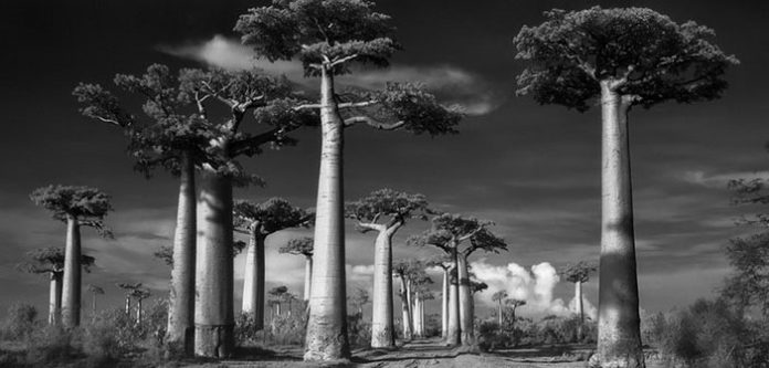 beth-moon