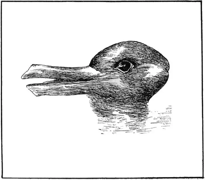 PSM_V54_D328_Optical_illusion_of_a_duck_or_a_rabbit_head-(1)