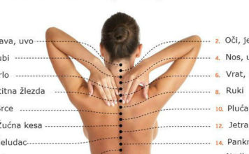 Pravi uzrok boli: Kako je kralježnica povezana s unutrašnjim organima