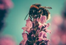 Što tražiš, to ćeš i pronaći!