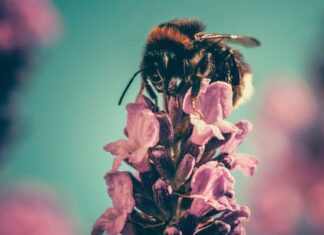 Što tražiš, to ćeš i pronaći!