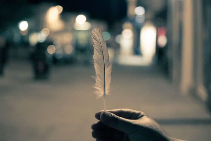 feather