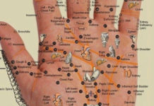 Mapa zdravlja je na dlanu vaše ruke!