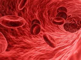 Dragulj njemačke narodne medicine: Jedna čaša čisti arterije i sprječava najteže bolesti! (RECEPT)