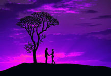 Odnosi Novog doba: Povezanost na visokim razinama svjesnosti