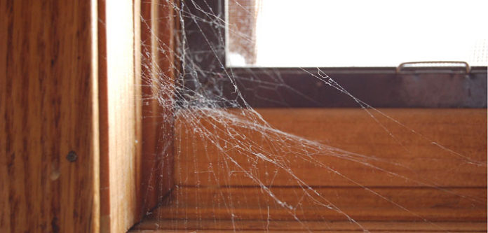 cobweb3