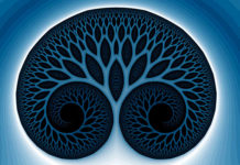 Keltski horoskop: Svatko od nas je jedno stablo – koje ste vi i što to otkriva?