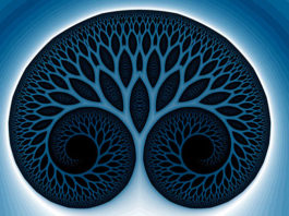 Keltski horoskop: Svatko od nas je jedno stablo – koje ste vi i što to otkriva?