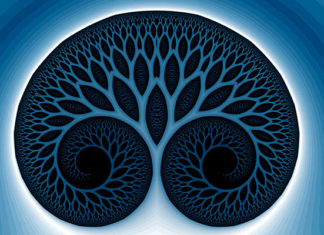 Keltski horoskop: Svatko od nas je jedno stablo – koje ste vi i što to otkriva?