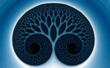 Keltski horoskop: Svatko od nas je jedno stablo – koje ste vi i što to otkriva?