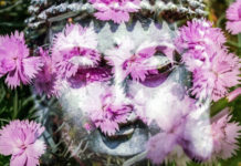 Ovo su biljke koje će preporoditi vaše čakre!