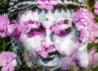 Ovo su biljke koje će preporoditi vaše čakre!