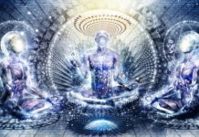 Test svijesti: Jeste li još uvijek živi ili samo programirani?