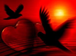 BOB MARLEY – Ljubav je teška, kada je to ljubav