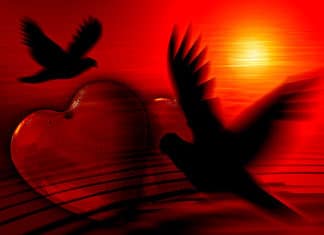 BOB MARLEY – Ljubav je teška, kada je to ljubav