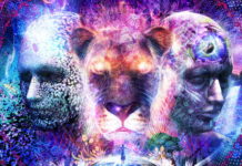 Zakoni reinkarnacije: Što određuje koje tijelo dobivamo? Zašto se ne sjećamo prošlih života?