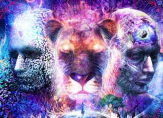 Zakoni reinkarnacije: Što određuje koje tijelo dobivamo? Zašto se ne sjećamo prošlih života?