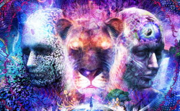 Zakoni reinkarnacije: Što određuje koje tijelo dobivamo? Zašto se ne sjećamo prošlih života?