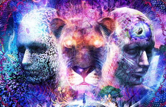 Zakoni reinkarnacije: Što određuje koje tijelo dobivamo? Zašto se ne sjećamo prošlih života?