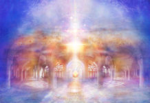 Mi stalno prelazimo iz jednog oblika u drugi zadržavajući isti identitet