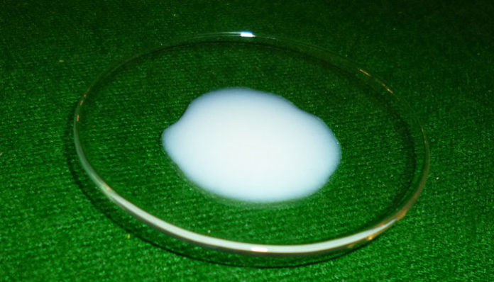 Homa_limfo_006