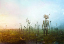 Jeste li empat i koje vrste – 10 tipova visoko osjetljivih ljudi