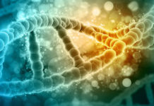 Dr Michael Greger: “KAKO NE UMRIJETI” – Ovih 6 namirnica štite vas od svih bolesti!