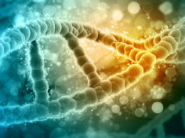 Dr Michael Greger: “KAKO NE UMRIJETI” – Ovih 6 namirnica štite vas od svih bolesti!