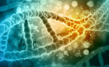 Dr Michael Greger: “KAKO NE UMRIJETI” – Ovih 6 namirnica štite vas od svih bolesti!