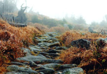 Kad ti je jako teško, kad te nešto strašno muči – Samo napravi OVO!