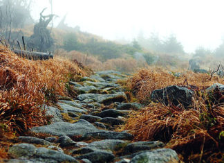 Kad ti je jako teško, kad te nešto strašno muči – Samo napravi OVO!